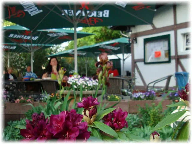 BookNoFees: 餐廳 – Restaurant Blattlaus – Berlin – Restaurant Blattlaus，第 3 張照片