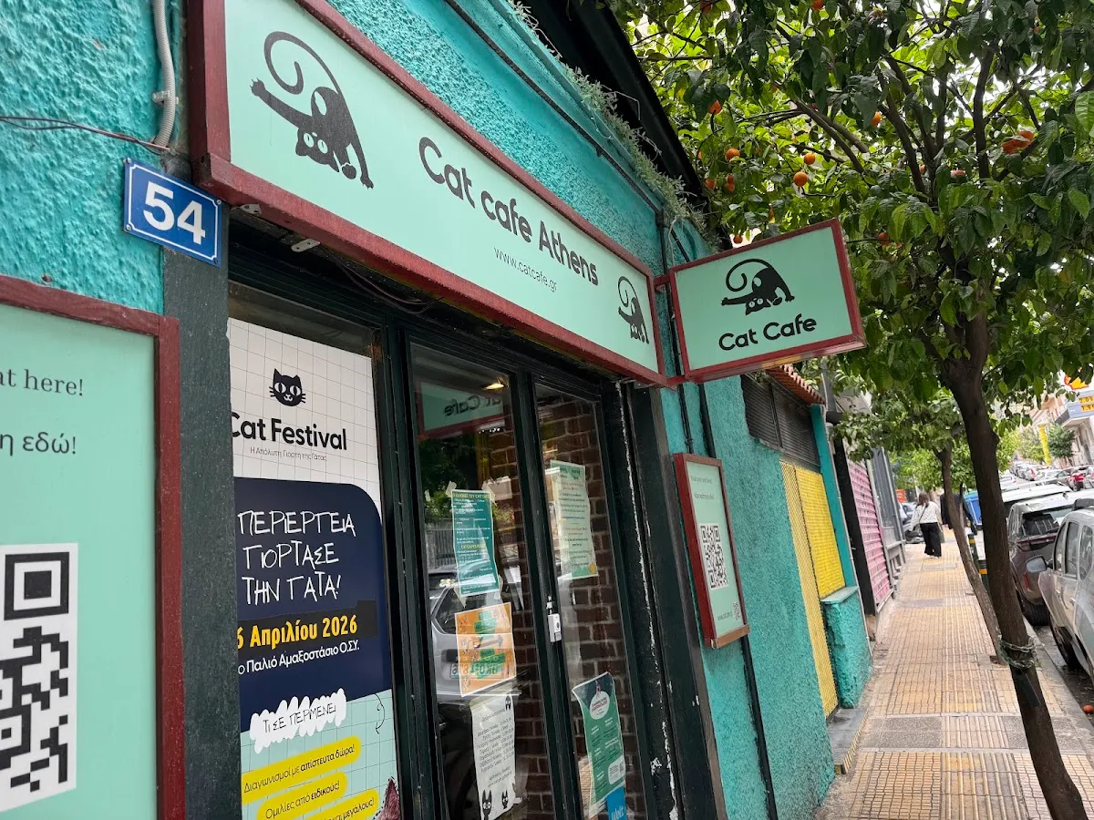 BookNoFees: 咖啡廳 – Cat Cafe Athens – Athens – 雅典貓咪咖啡廳，第 1 張照片