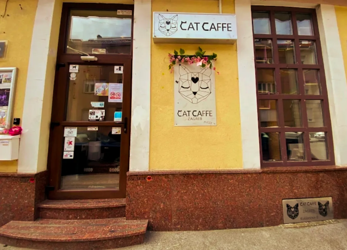 BookNoFees: 咖啡廳 – Cat Caffe – Zagreb – 貓咪咖啡廳，第 1 張照片