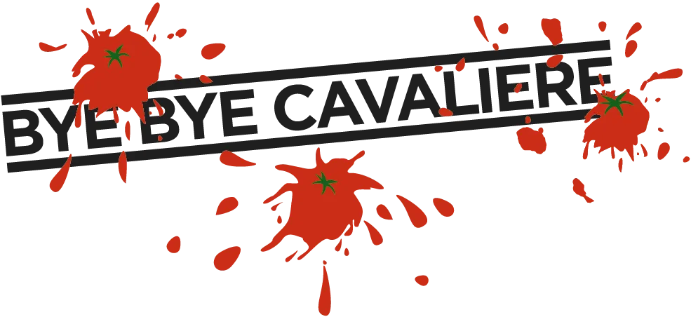 BookNoFees: 輕食吧 – Bye Bye Cavaliere – Berlin – Bye Bye Cavaliere,第 1 張照片