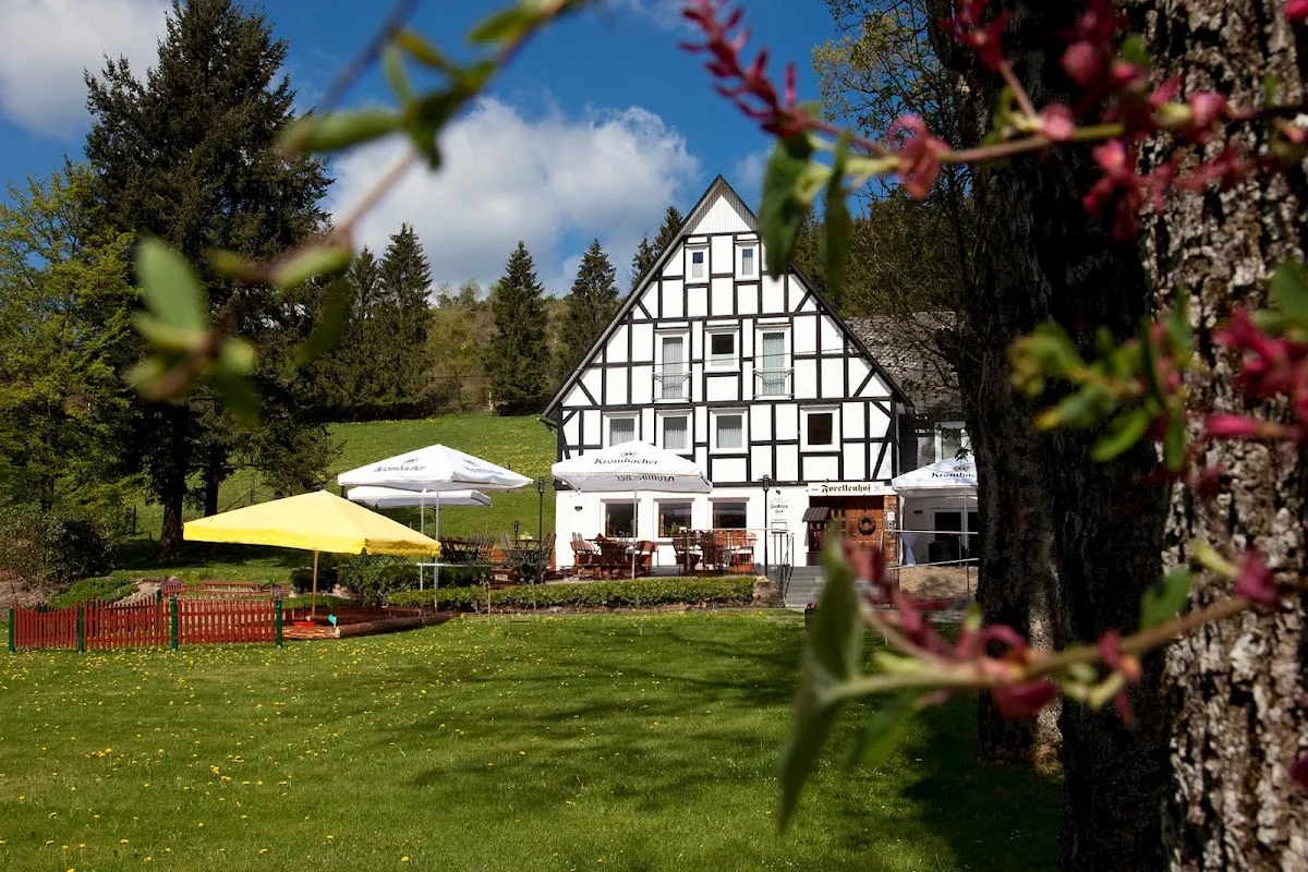 BookNoFees: 餐廳 – Forellenhof Boshof – Bad Berleburg – Forellenhof Boshof，第 1 張照片