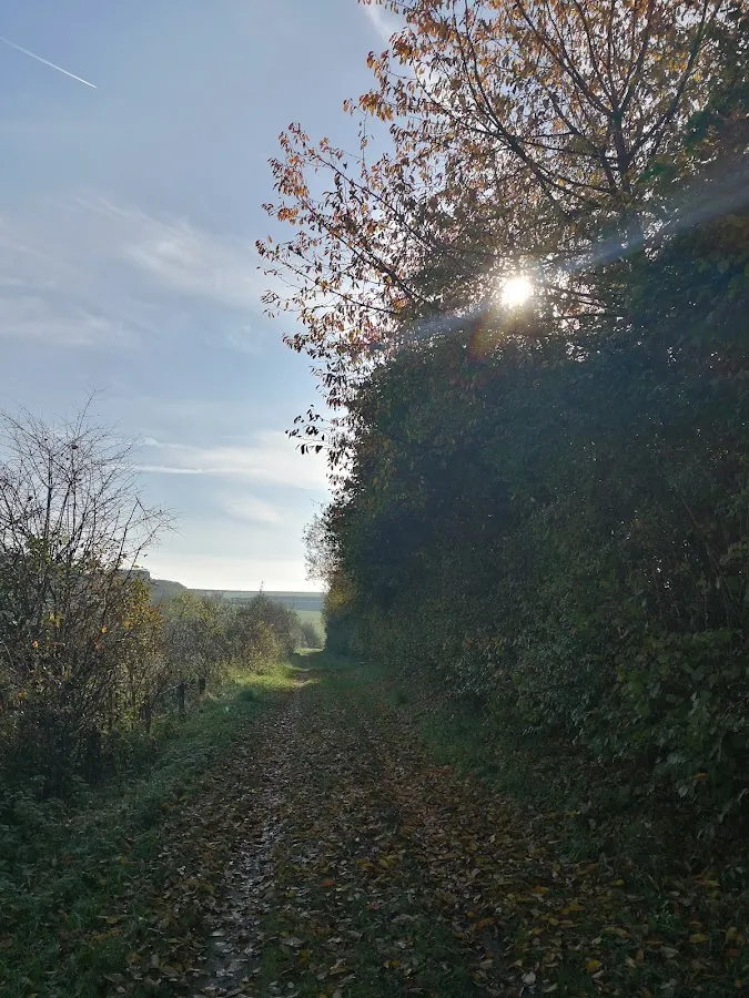 BookNoFees: 餐廳 – Erlingser Treff – Marsberg – Erlingser Treff，第 1 張照片
