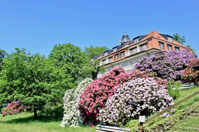 BookNoFees: 自然與藝術度假公寓,德勒斯登,薩克森小瑞士 – Dresden