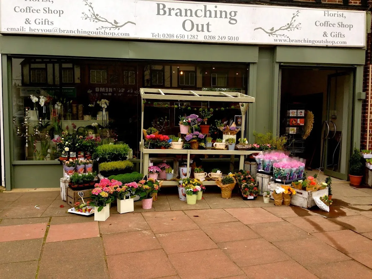 BookNoFees: 咖啡廳 – Branching Out – London – Branching Out，第 1 張照片