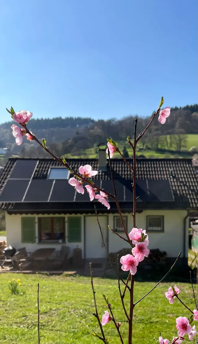 BookNoFees: 阿勒繆爾度假小屋——一棟專屬於你們的房子！ – Allemühl